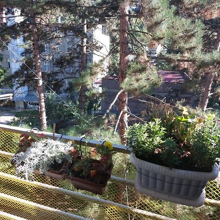 Londa Lägenhet Borjomi Exteriör bild