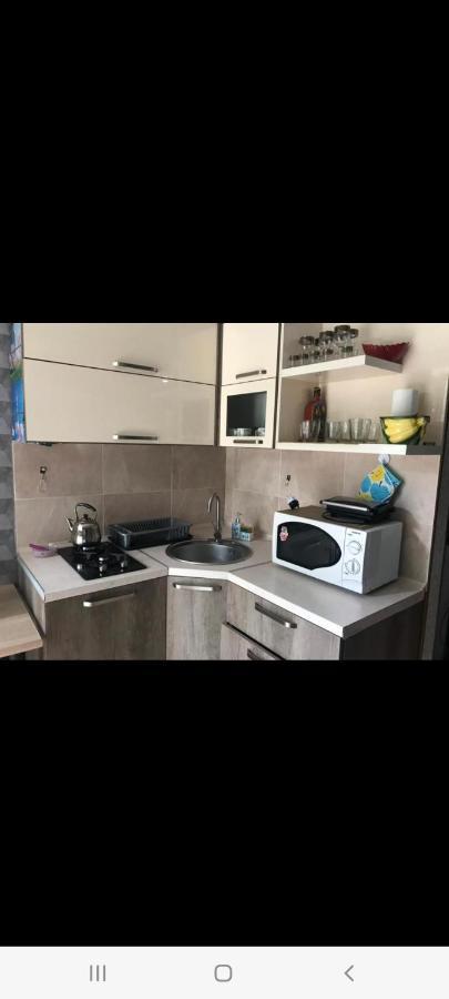 Londa Lägenhet Borjomi Exteriör bild