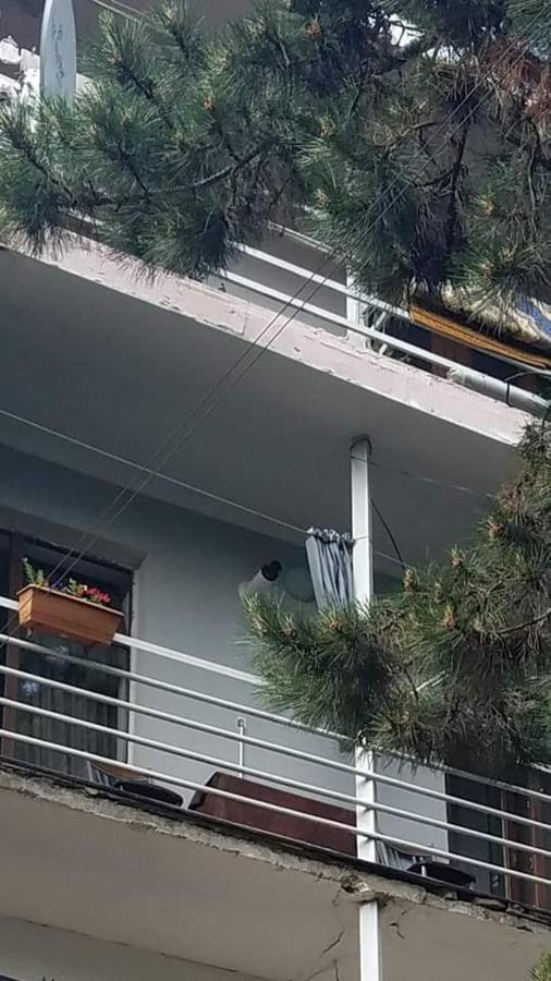 Londa Lägenhet Borjomi Exteriör bild